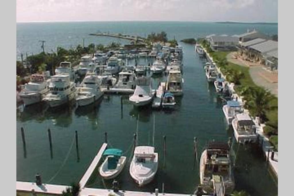 Licensed Mgr - 2/2 Villa - Oceanfront Beach Resort - Saltwater Lagoon & Marina! Key Largo Exteriör bild
